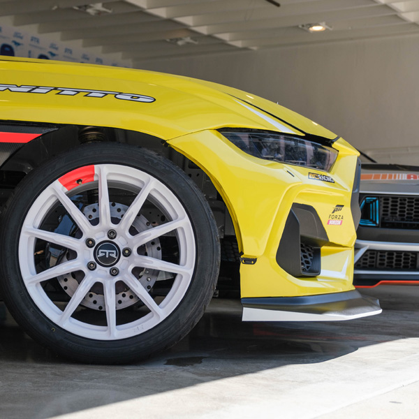 تشيلسي في العمل