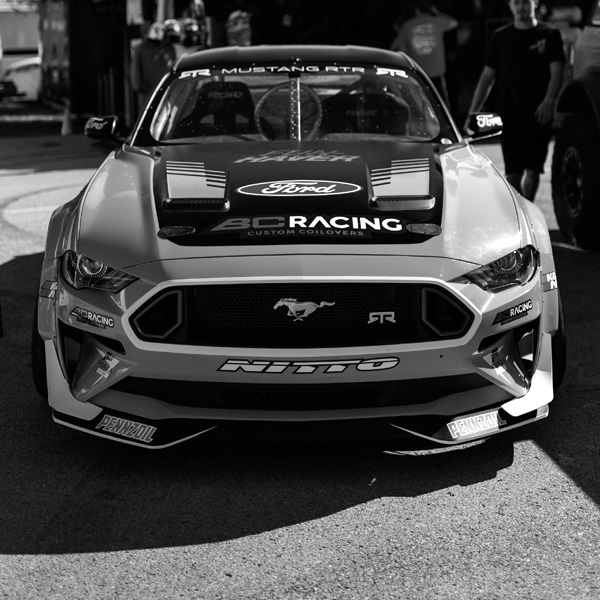 تشيلسي دينوفا